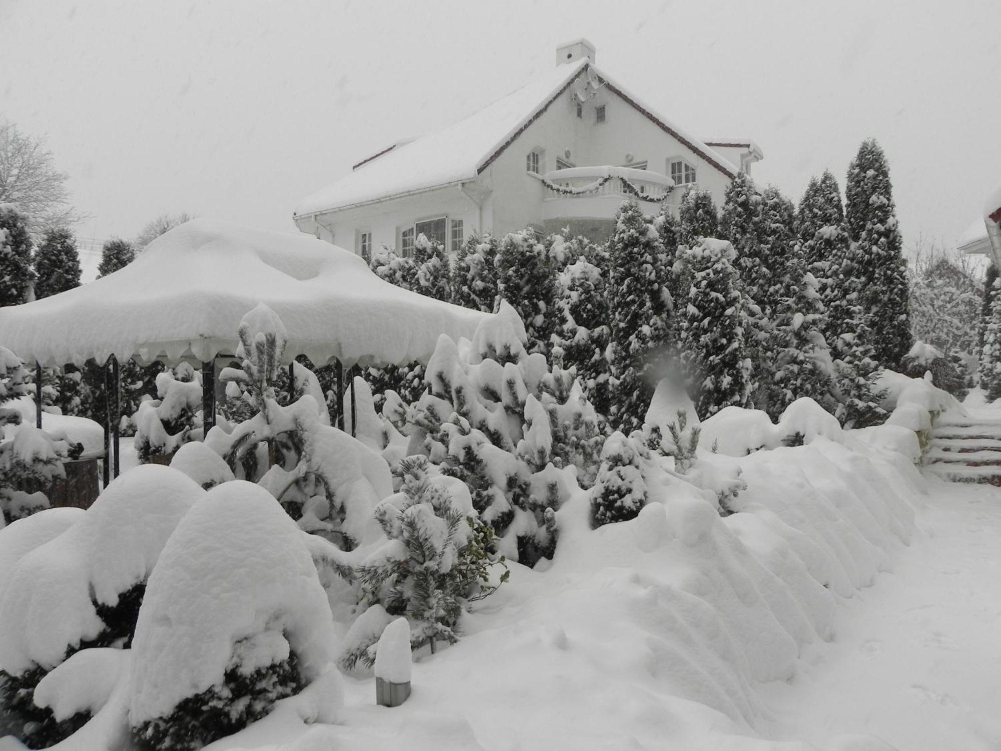 Club-Austria Residence (Adults Only) Busteni Exterior photo